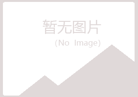 商洛夏岚保险有限公司